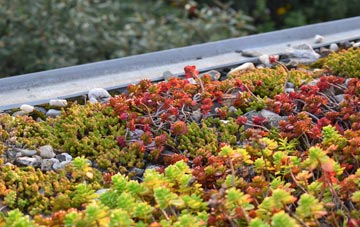 the cost of Onich green roof installation